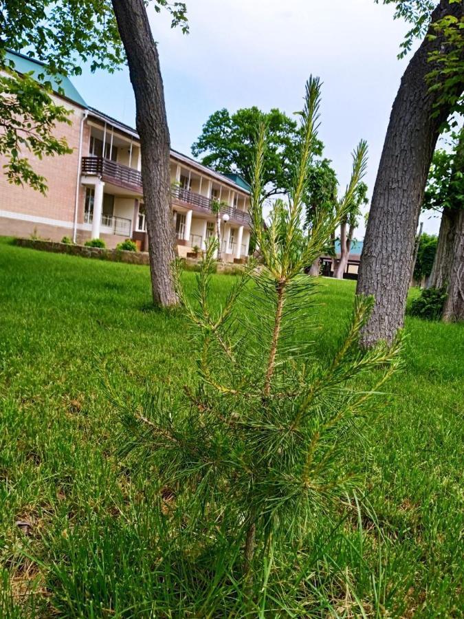 Отель Оздоровительный Комплекс Княжий Град Khascheve Экстерьер фото